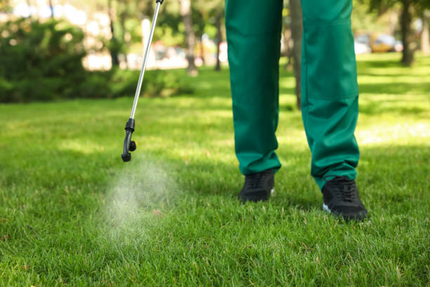Best Pest Control Near Me  in Kingsburg, CA