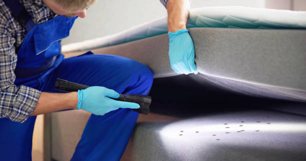 Pest Control for Restaurants in Kingsburg, CA